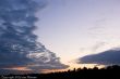 2008_0807_Veluwe2_076.jpg