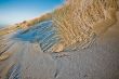 2008_1228_Strand_0018.jpg