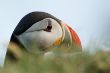 2008_0630_IJsland2_665.jpg