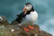 2008_0630_IJsland2_668.jpg