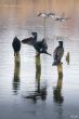 2011_0305_MidDelfland_0061_LRw6.JPG