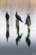 2011_0305_MidDelfland_0067_LRw6.JPG