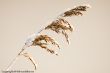 2009_0110_Winter_0126.jpg