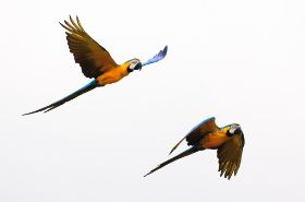 2012_0503_Blijdorp_0137_LRw.JPG