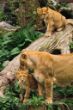2012_0503_Blijdorp_0100_LRw.JPG