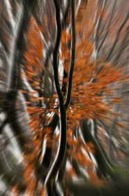 2010_1224_Valkenburg_0057-Edit_LRw.JPG
