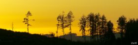 2010_1009_Sauerland_0101_LRw6.JPG